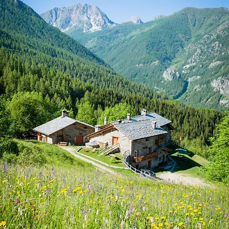 Civico 5 Domek alpejski *